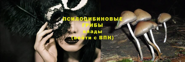бошки Надым