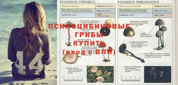 бошки Надым