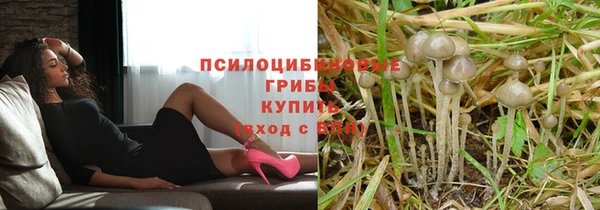 бошки Надым
