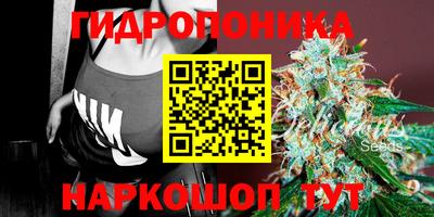 амф Коммунар