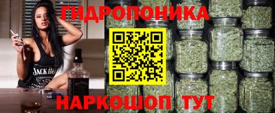 молекула духа Ливны