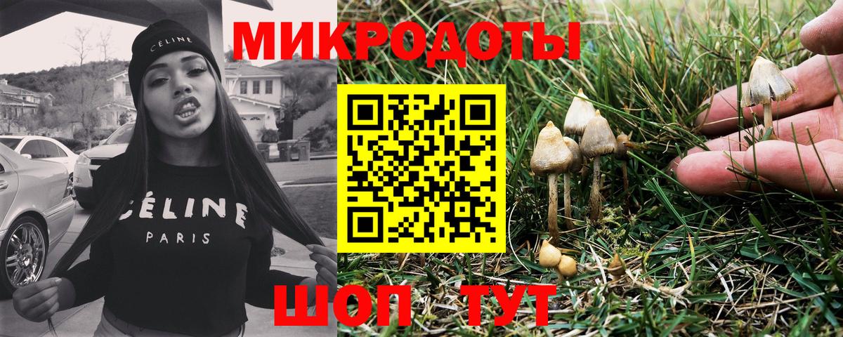 Галлюциногенные грибы прущие грибы  Вход с VPN  Новосибирск 