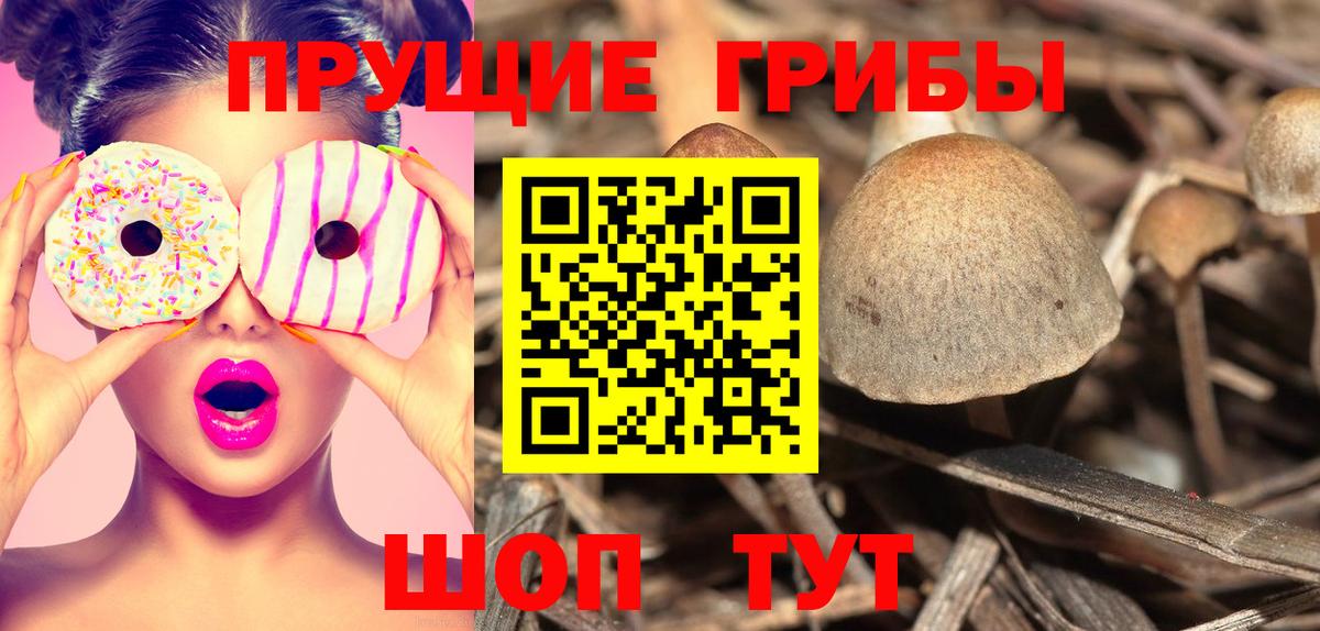 Псилоцибиновые грибы прущие грибы Новосибирск