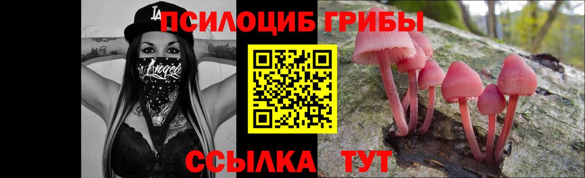 Галлюциногенные грибы мицелий Новосибирск